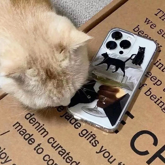 Black Cats iPhone Case